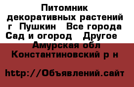 Питомник декоративных растений г. Пушкин - Все города Сад и огород » Другое   . Амурская обл.,Константиновский р-н